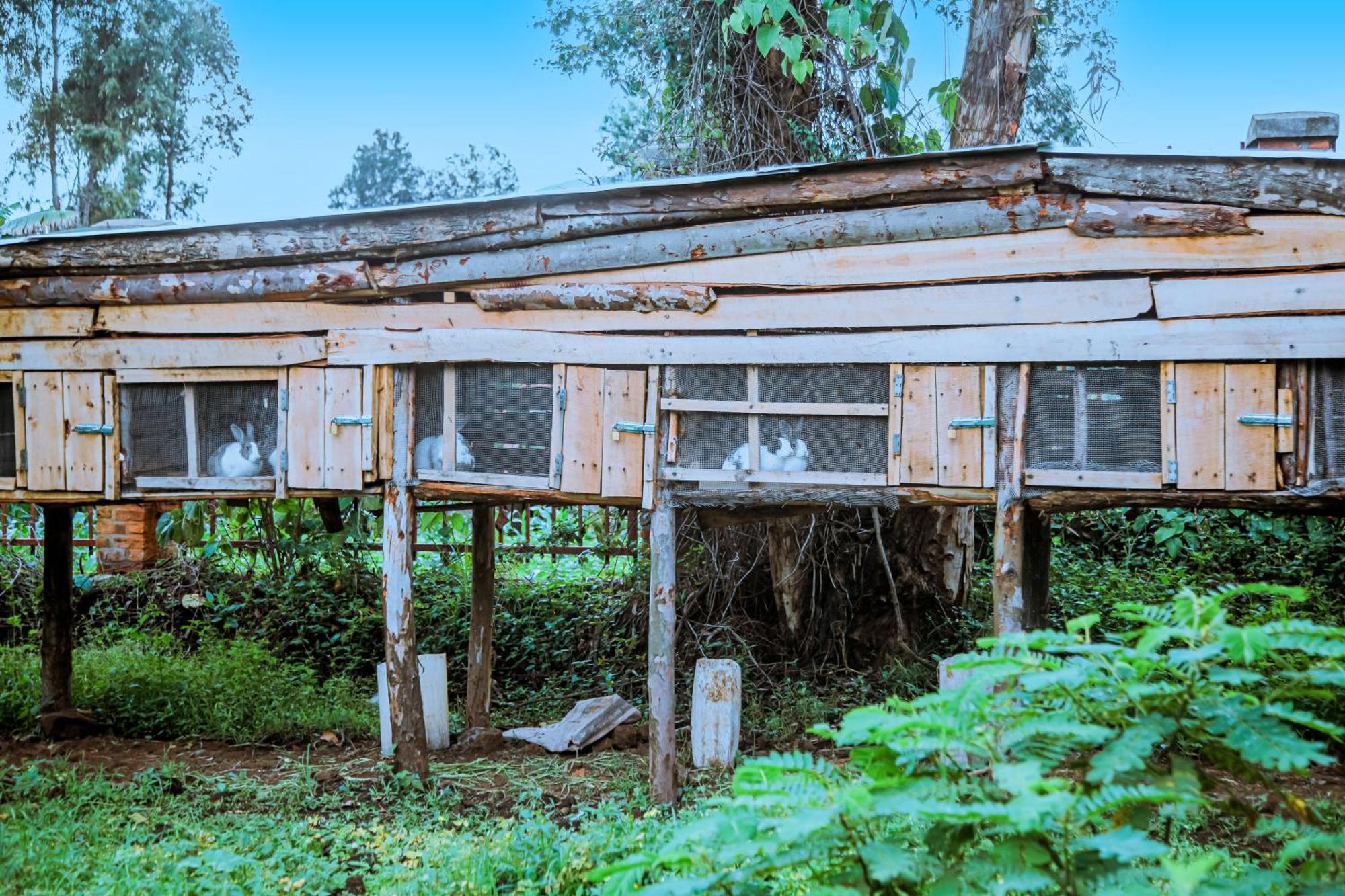 Karisimbi Cave Resort ルヘンゲリ エクステリア 写真